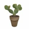 Opuntia Microdasys Et Son Cache-pot Marron - H40cm, ø17cm - Plante D'intérieur -Terre et Verdure d56a6bc0eec02fda