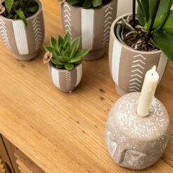 Echeveria Miranda - H13cm, ø9cm - Plante D'intérieur 10 Echeveria Miranda - H13cm, ø9cm - Plante D'intérieur -Terre et Verdure f209523da1b249a5