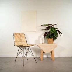 Calathea Médaillon Et Son Panier Naturel - H65cm, ø19cm - Plante D'intérieur 8 Calathea Médaillon Et Son Panier Naturel - H65cm, ø19cm - Plante D'intérieur -Terre et Verdure f994a8b95ad16157