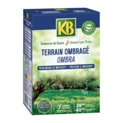 Devant 38 - Semences Gazon - Terrain Ombragé 28m²