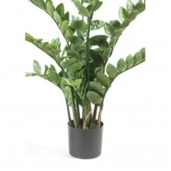 Emerald Zamioculcas Artificiel Vert 110 Cm 11.662c 8 Emerald Zamioculcas Artificiel Vert 110 Cm 11.662c -Terre et Verdure fb433d9acae0b9bb
